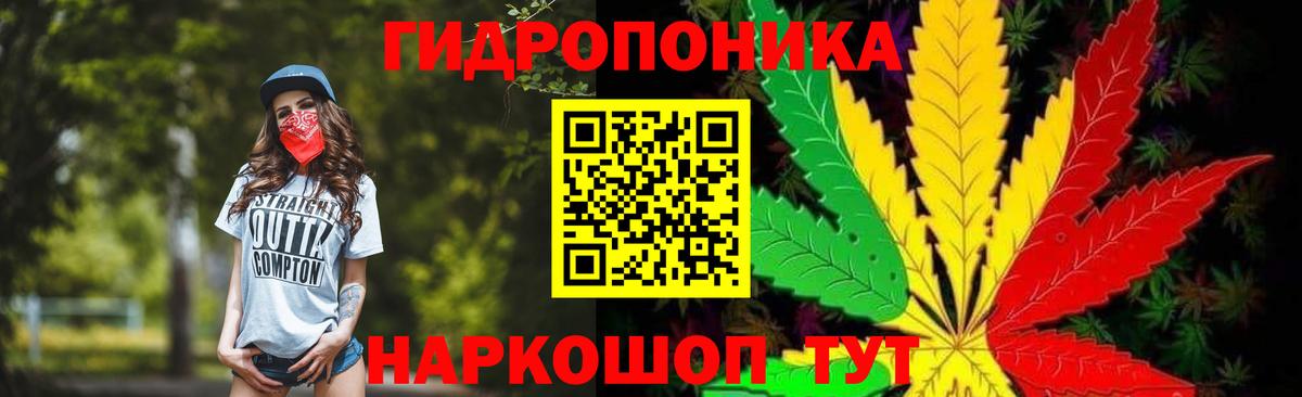 Марихуана OG Kush Сокол